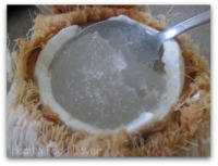 Thumbnail image for How To Make “Instant” Coconut Ice
