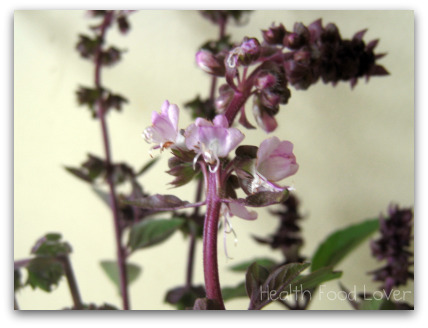  - Purple-Basil-Flower-and-Orange-Zest-Tea-013-ds-pck-sml-wm