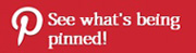 See what is being pinned!